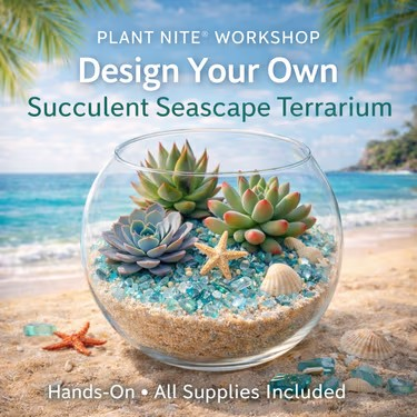 Join us for a Paint Nite Event, Aug 21sh at 7PM - Succulents By the Sea - Plant Nite